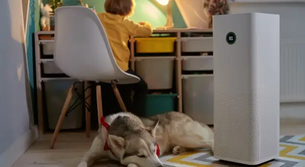 Zbuduj Oczyszczacz Powietrza DIY: Tani i Skuteczny Sposób na Smog