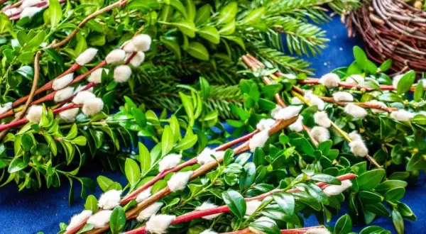 Palma Wielkanocna DIY: Prosty Przewodnik Krok po Kroku