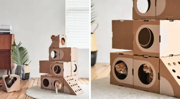 Domek dla kota z kartonu: Prosty przewodnik DIY i inspiracje
